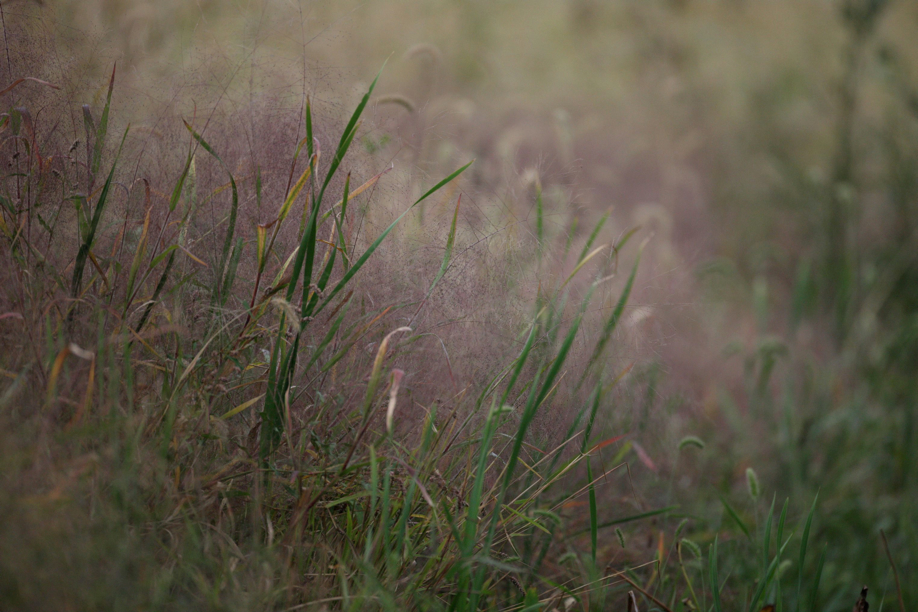 Full Size Image = 653 K