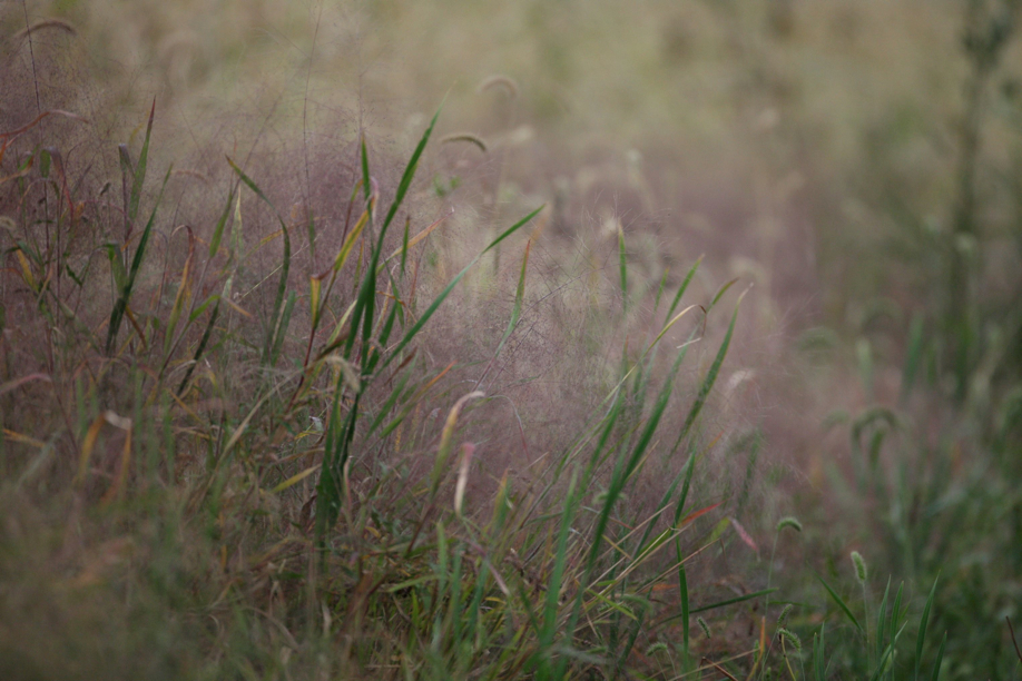 Full Size Image = 579 K