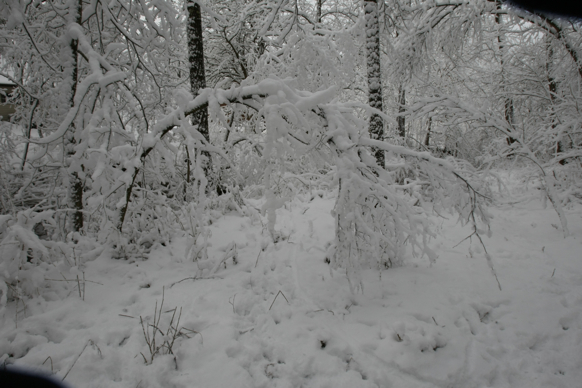 Full Size Image = 1680 K