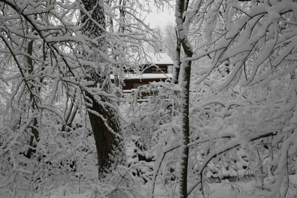 Full Size Image = 2149 K