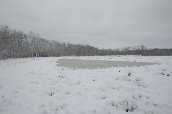 Full Size Image = 1092 K