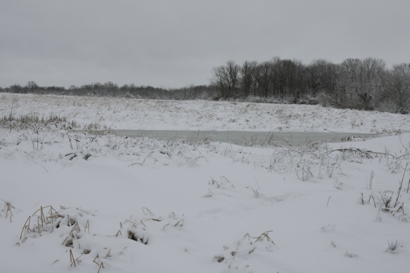 Full Size Image = 1283 K