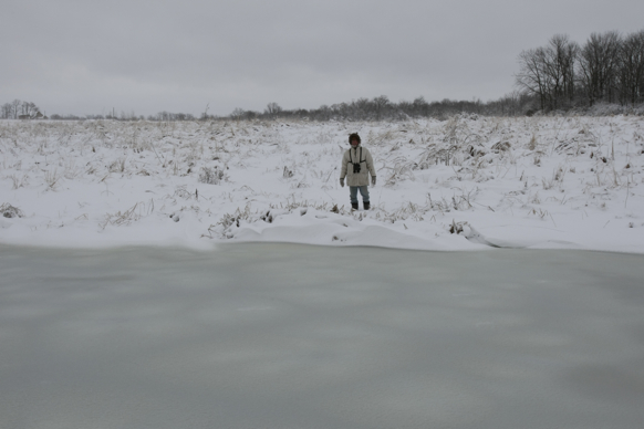 Full Size Image = 1273 K