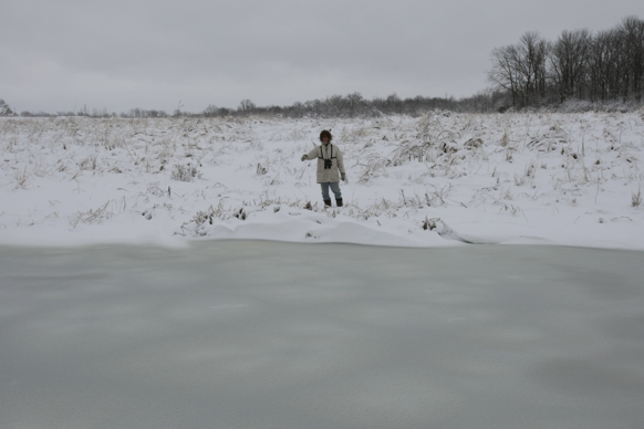 Full Size Image = 1277 K