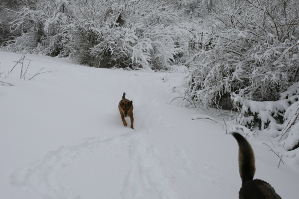 Full Size Image = 1688 K