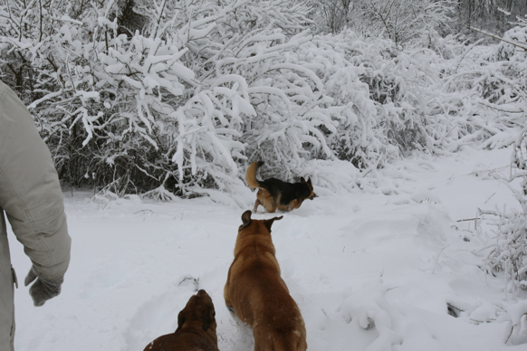 Full Size Image = 1710 K