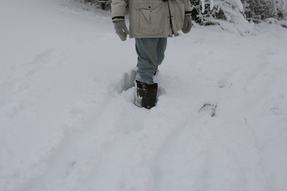 Full Size Image = 948 K