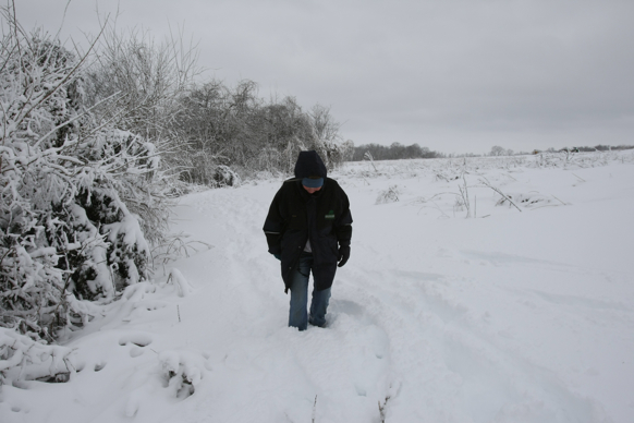 Full Size Image = 1412 K