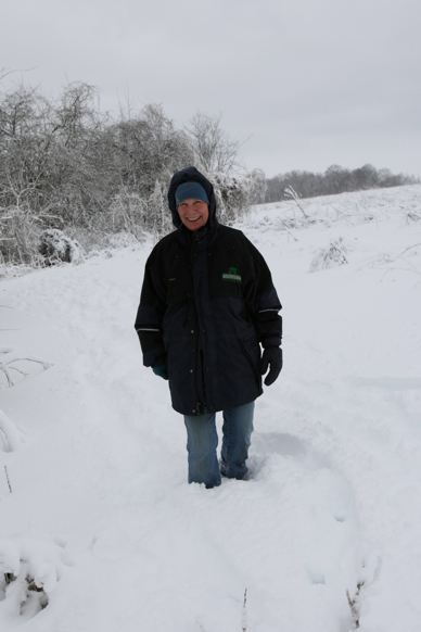 Full Size Image = 939 K