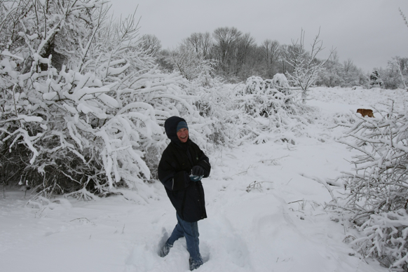 Full Size Image = 1759 K