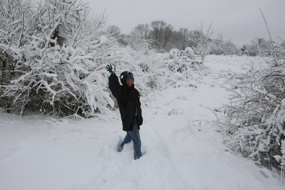 Full Size Image = 1701 K