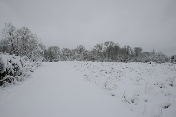 Full Size Image = 1200 K