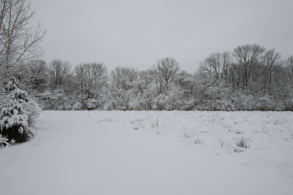 Full Size Image = 1525 K