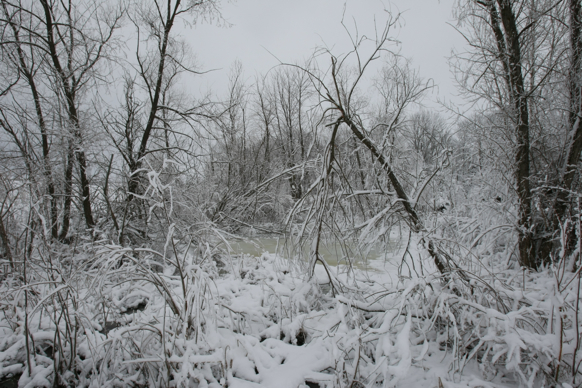 Full Size Image = 2610 K