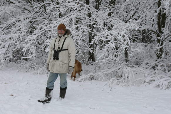 Full Size Image = 2046 K