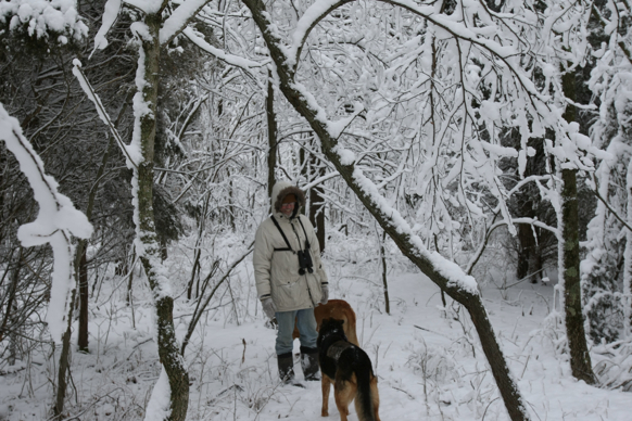 Full Size Image = 2121 K