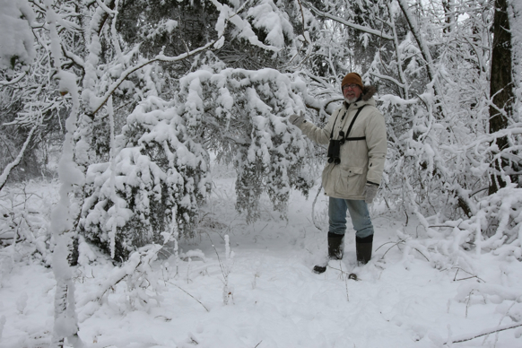 Full Size Image = 2031 K