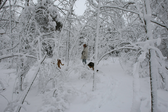 Full Size Image = 1924 K