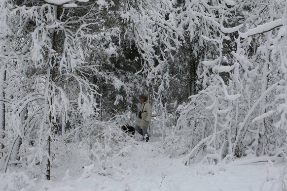 Full Size Image = 2203 K