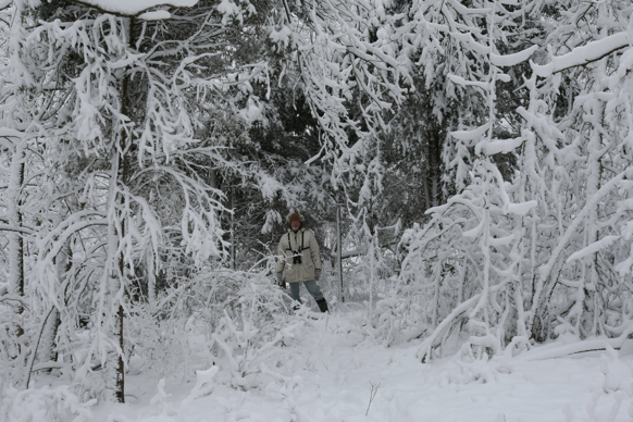 Full Size Image = 2267 K