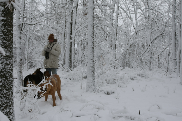 Full Size Image = 2073 K