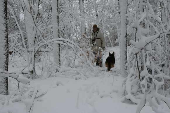 Full Size Image = 1752 K