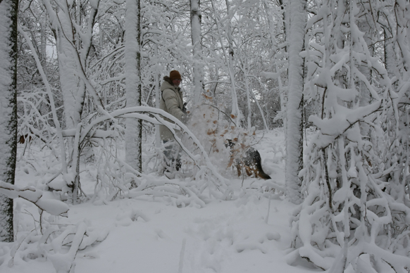 Full Size Image = 1825 K