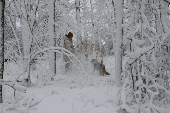 Full Size Image = 1560 K