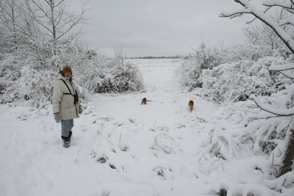 Full Size Image = 1644 K