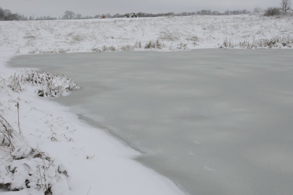 Full Size Image = 1237 K