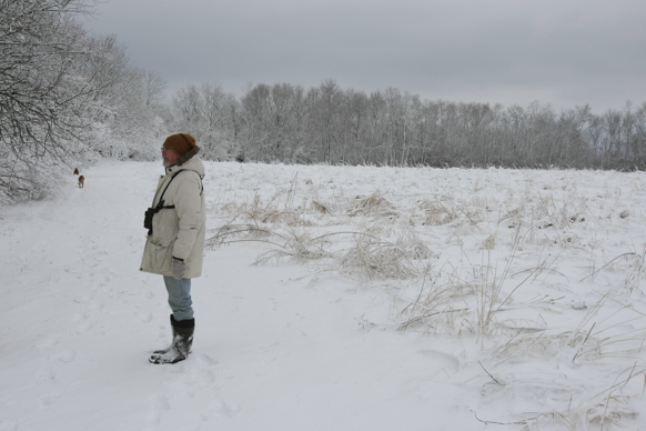 Full Size Image = 1579 K