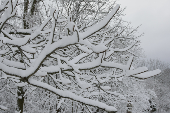 Full Size Image = 1802 K