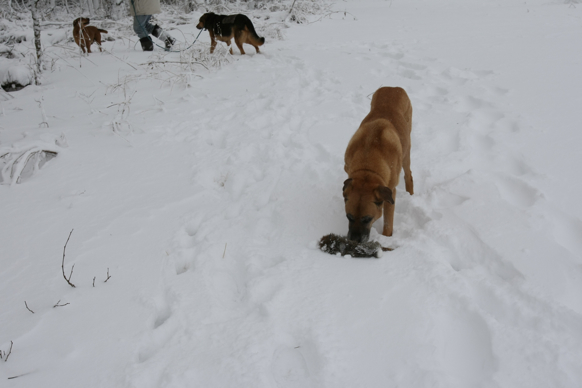 Full Size Image = 1026 K