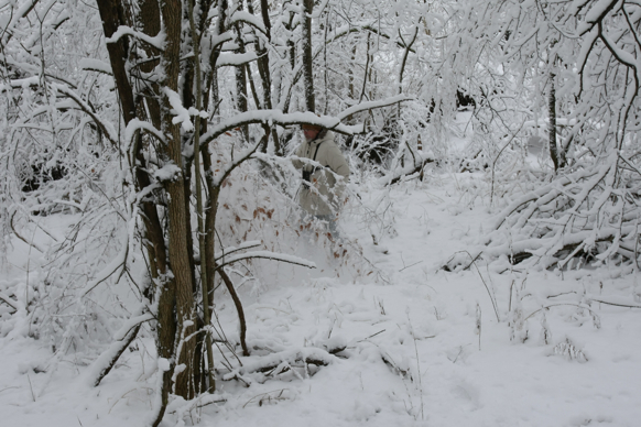 Full Size Image = 1961 K