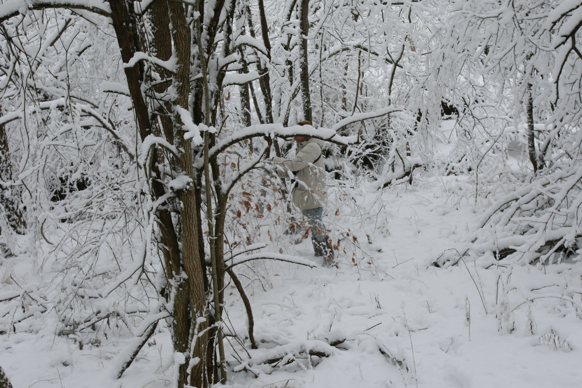 Full Size Image = 2083 K