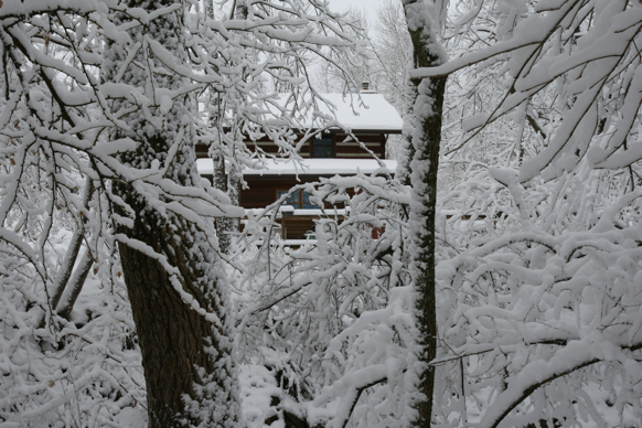 Full Size Image = 2102 K