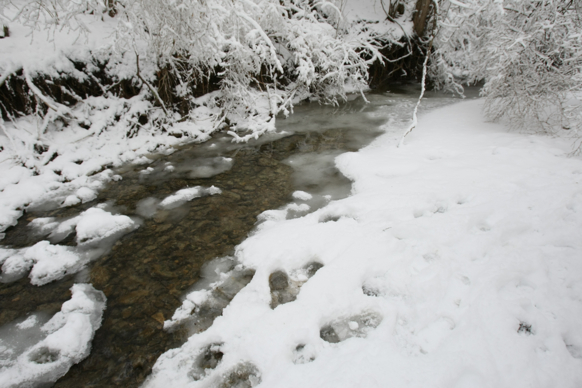 Full Size Image = 1506 K