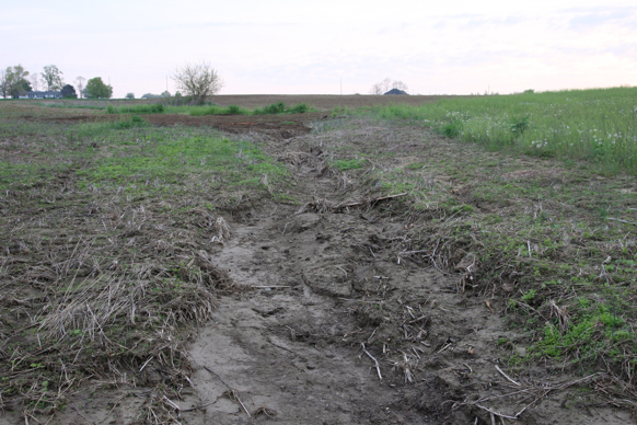 Full Size Image = 2250 K