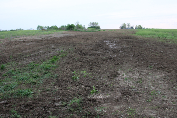 Full Size Image = 2242 K