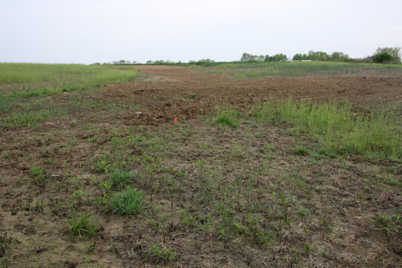 Full Size Image = 2194 K