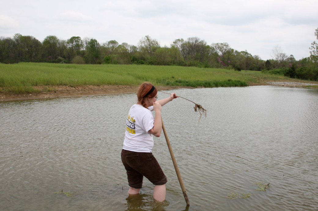 Full Size Image = 4101 K