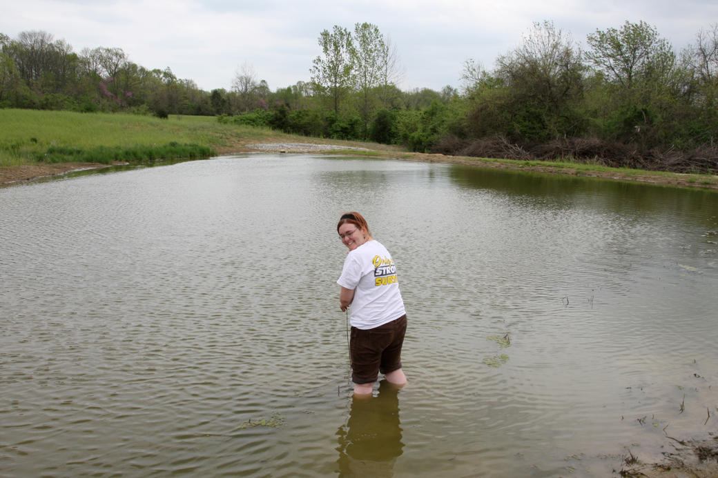 Full Size Image = 4465 K