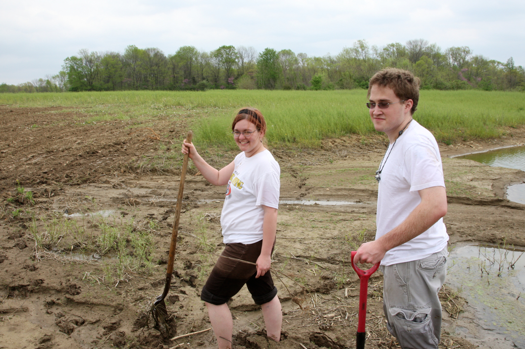 Full Size Image = 4901 K