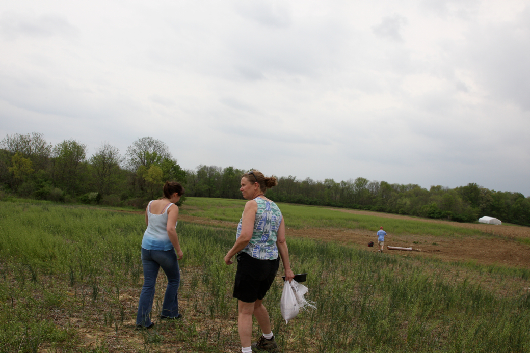 Full Size Image = 3913 K