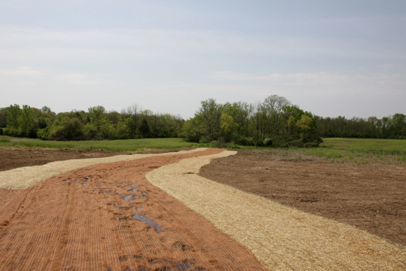 Full Size Image = 381 K