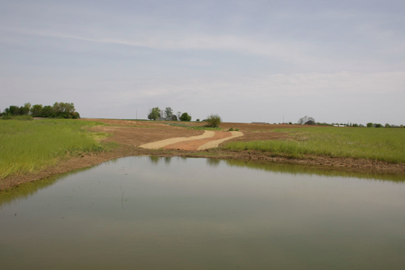 Full Size Image = 158 K