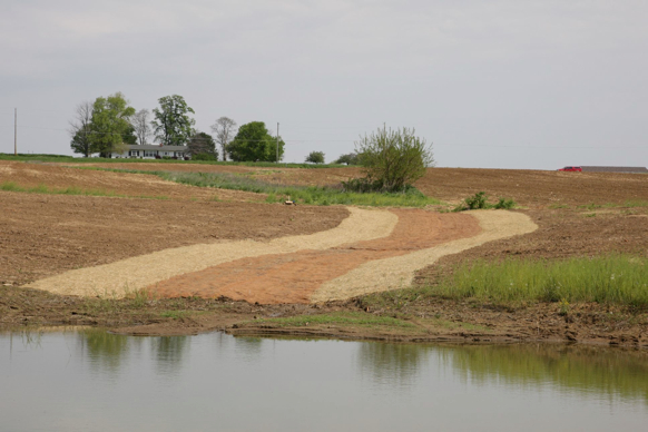 Full Size Image = 331 K