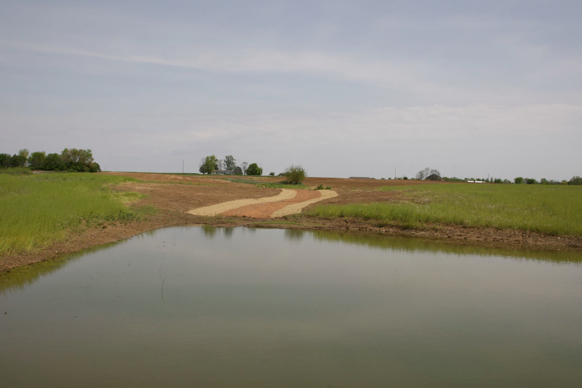 Full Size Image = 157 K