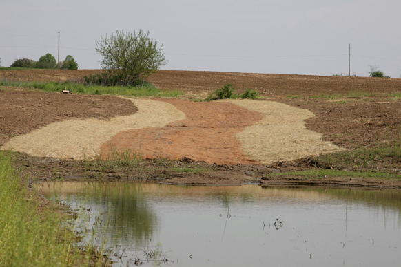 Full Size Image = 403 K