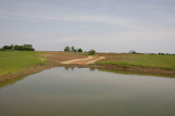 Wetland 2 and Drainage 2